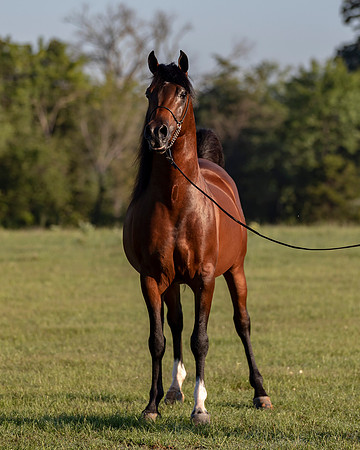 RSTx18_0767