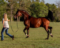 RSTx18_0788