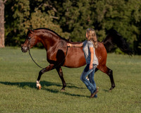 RSTx18_0863