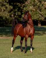 RSTx18_0891