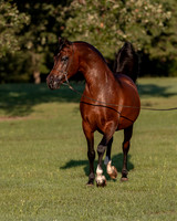 RSTx18_0897
