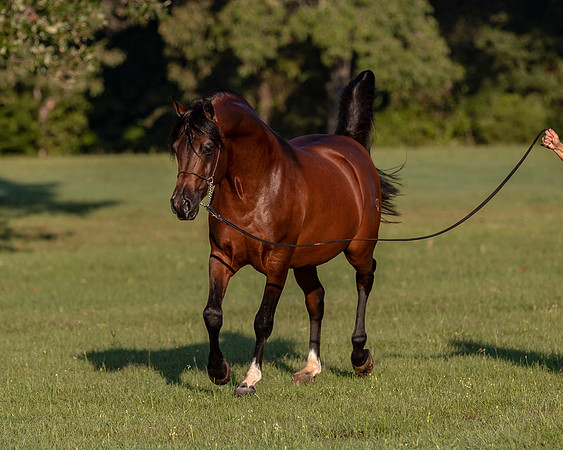 RSTx18_0964