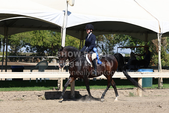 DAHA_FF22_2691