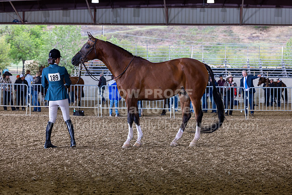 AHANC22_R5_Wed_0271