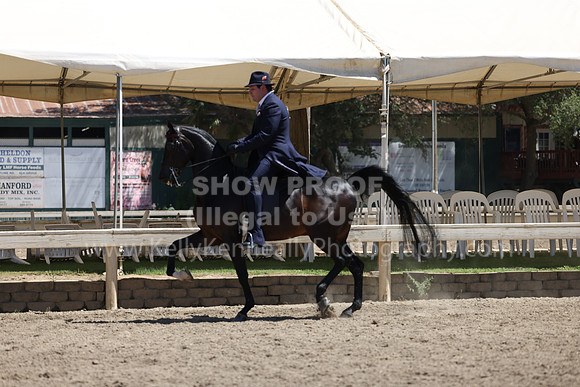 DAHA22_Thurs_1354