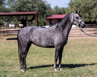 May_FlowerRS_1021-2012