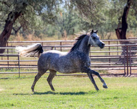 May_FlowerRS_1021-2120