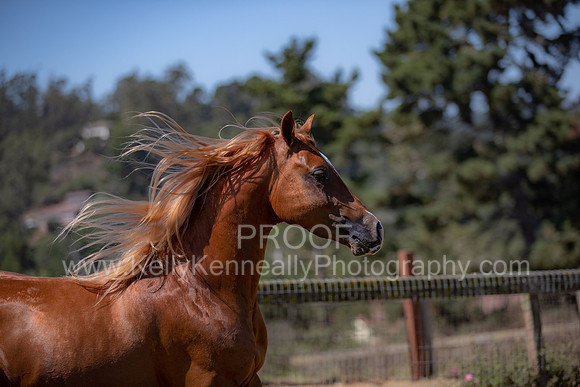 Reverberation19_0133