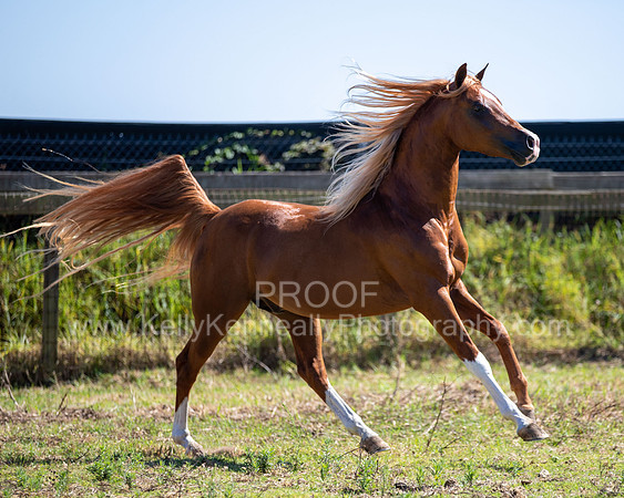 Reverberation19_0154