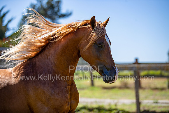 Reverberation19_0261