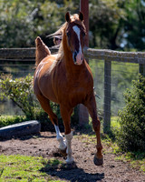 Reverberation19_0027