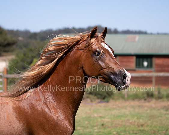 Reverberation19_0290