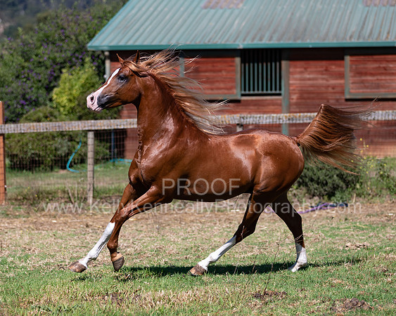 Reverberation19_0105