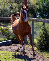 Reverberation19_0028