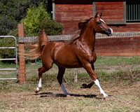 Reverberation19_0062