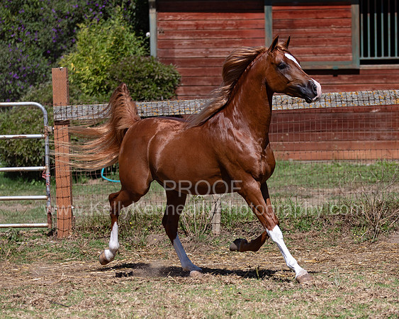 Reverberation19_0062