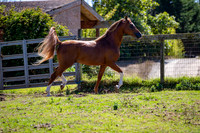 Reverberation19_0017