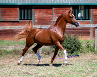 Reverberation19_0064
