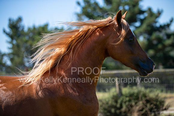 Reverberation19_0263
