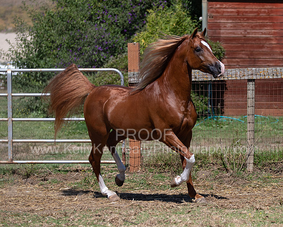 Reverberation19_0058