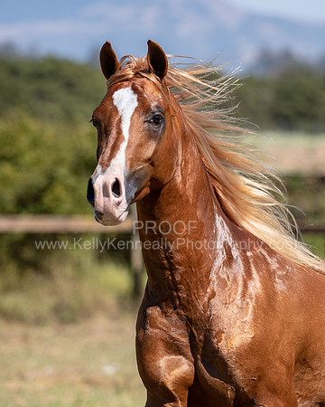 Reverberation19_0303