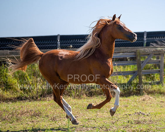 Reverberation19_0159