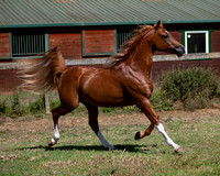 Reverberation19_0068