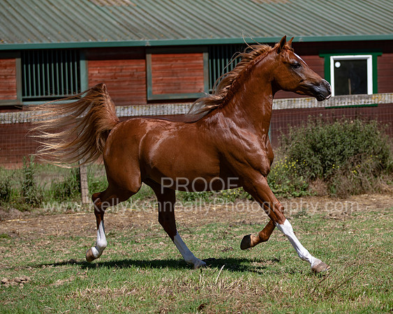 Reverberation19_0068