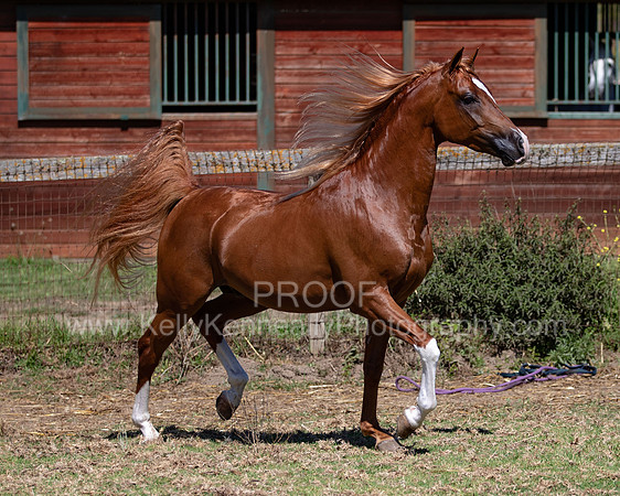 Reverberation19_0063