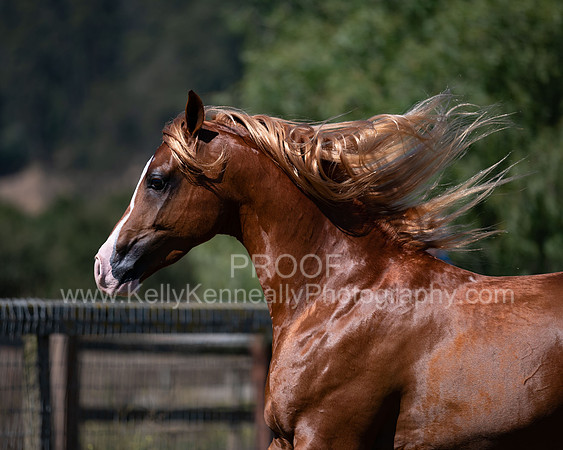 Reverberation19_0108