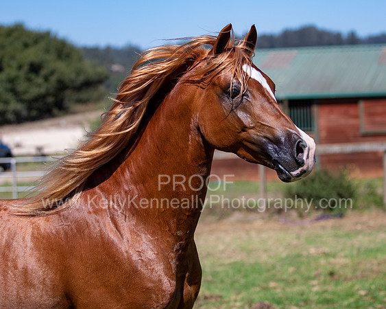 Reverberation19_0289