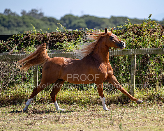 Reverberation19_0148