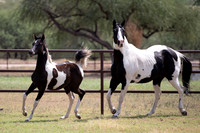HeartOfTexasRS20_1775
