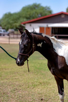 HeartOfTexasRS20_1561
