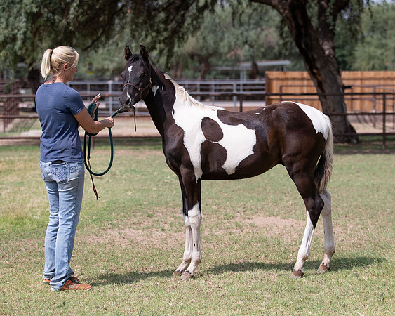 HeartOfTexasRS20_1549