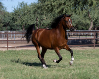 FaithfulJuellRS18_5710