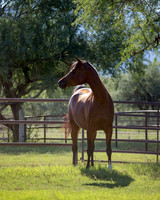 FaithfulJuellRS18_5758