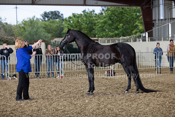 AHANC22_R5_Wed_0407