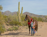 Scottsdale Desert 2014