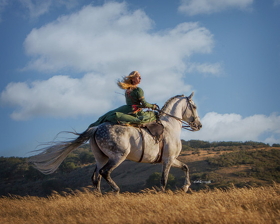 Sidesaddle_7298FB