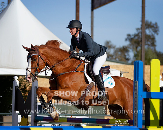 Erlach_MurietaAutumn18_2560SocialMedia