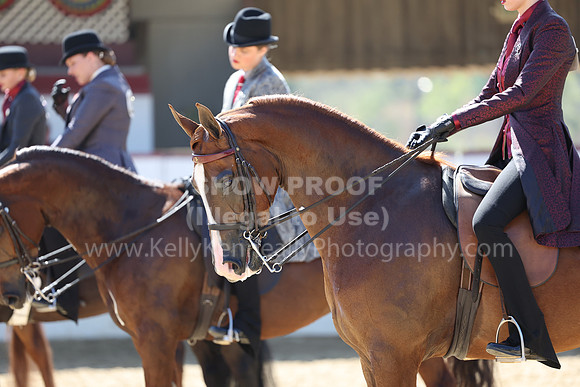R2_22_Thurs_5093