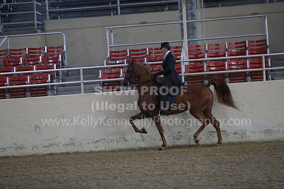 RCAHA19_FriAM_0010