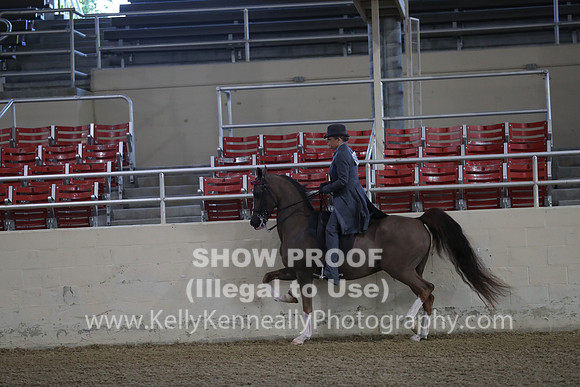 RCAHA19_FriAM_0008