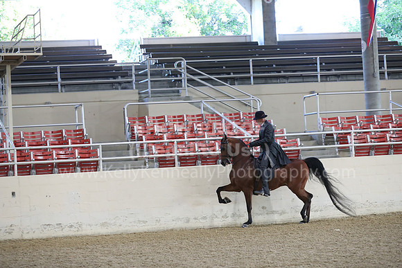 RCAHA19_FriAM_0031