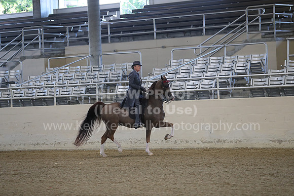 RCAHA19_FriAM_0052