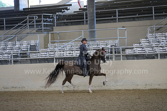 RCAHA19_FriAM_0053