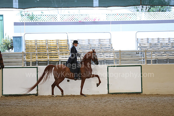 RCAHA19_FriAM_0069