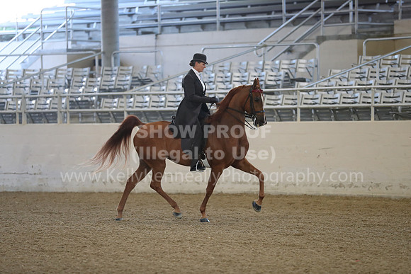 RCAHA19_FriAM_0072