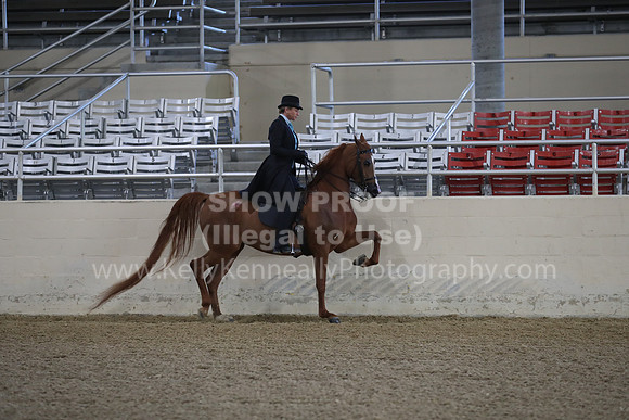 RCAHA19_FriAM_0077